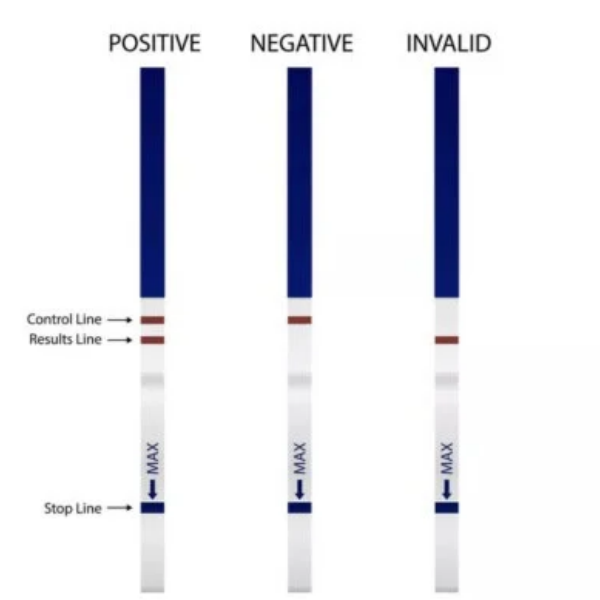 5 Pcs Accurate Pregnancy Test Strips - TabletStore.Pk